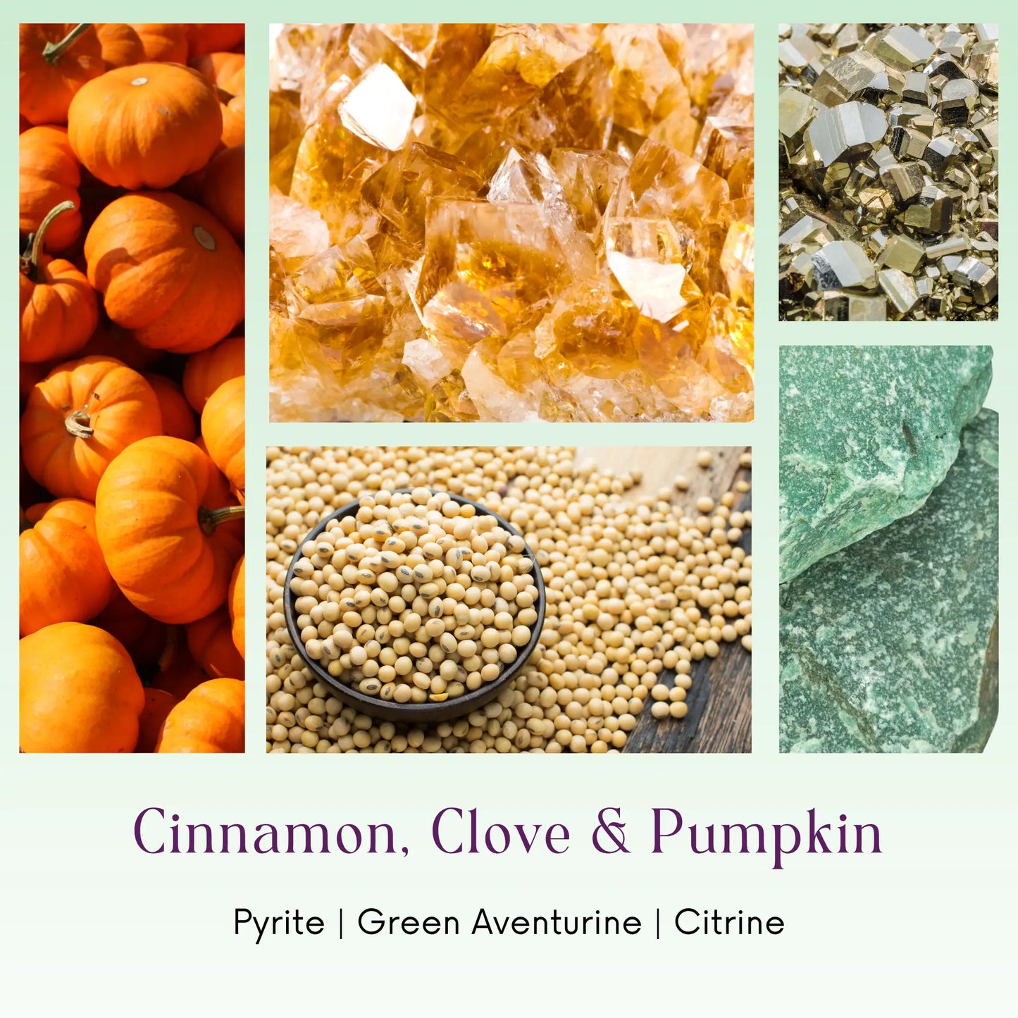 Ingredients and crystals in a candle ( pumpkins, soy wax, pyrite, green aventurine, and citrine).