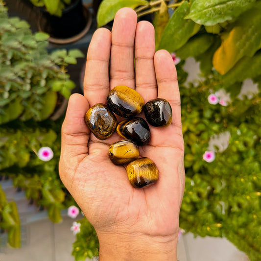 Tiger Eye Crystal 1
