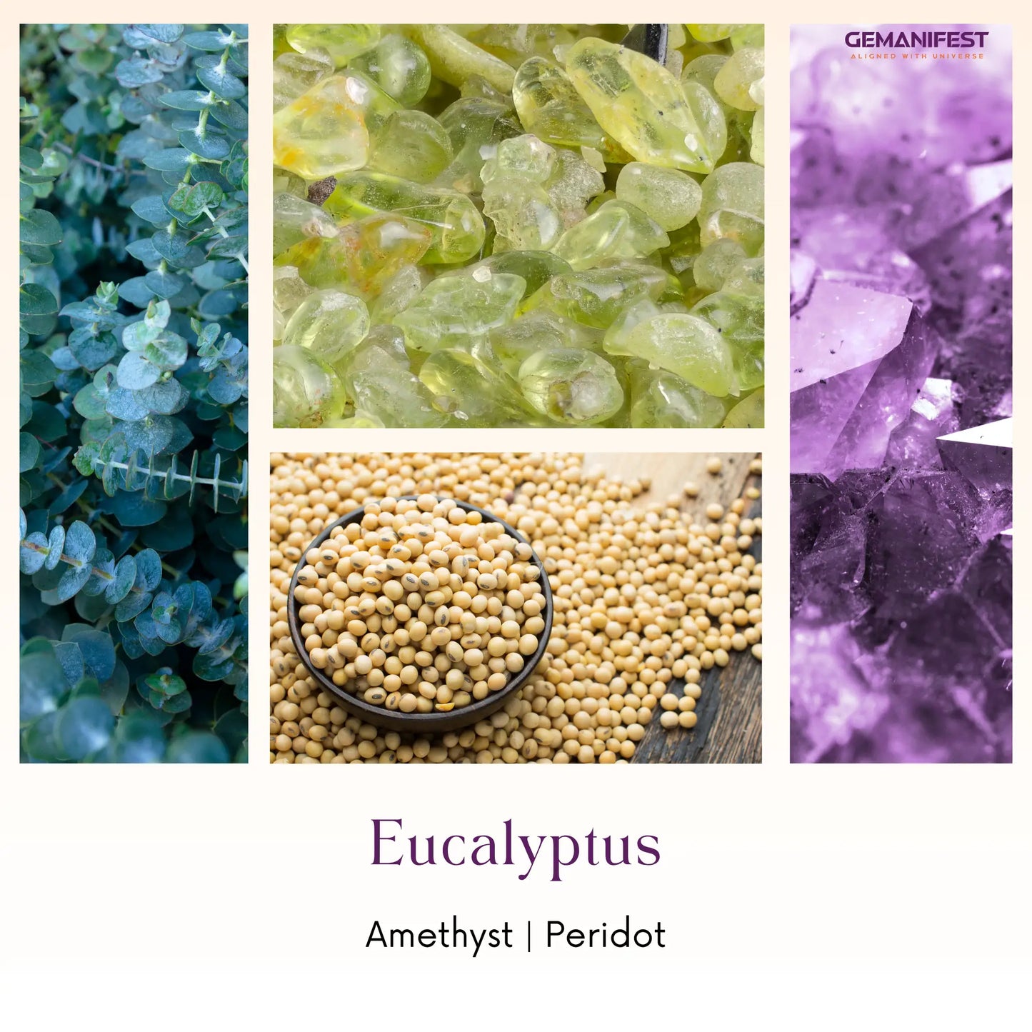 Collage of eucalyptus leaves, amethyst crystals, peridot stones with 'GEMANIFEST' branding.