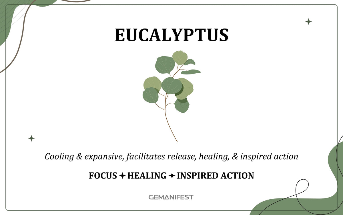 Eucalyptus scent – A fragrance for clarity, energy clearing, and powerful manifestation.