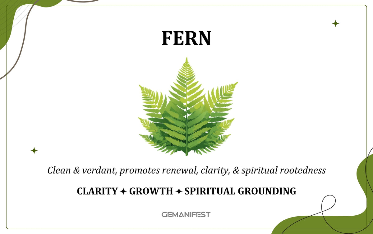 Fern scent – A grounding fragrance for manifestation, growth, and renewal.