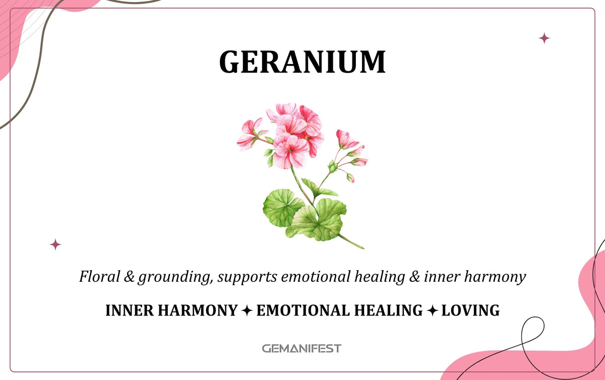 Geranium scent – A fragrance for emotional healing, inner strength, and heart-based manifestation.