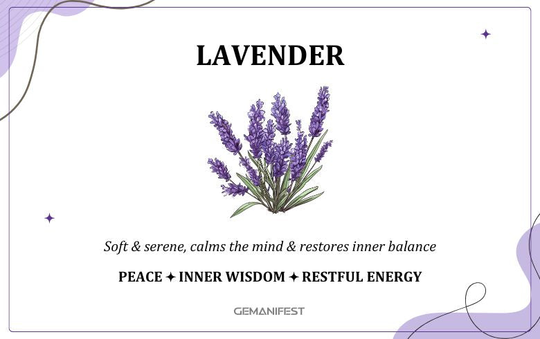 Lavender scent – A calming fragrance for intuition, peace, and manifestation.