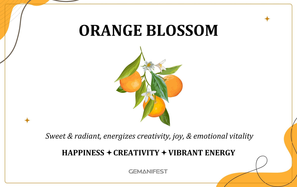 Orange Blossom scent – A fragrance for joy, abundance, and creative manifestation.