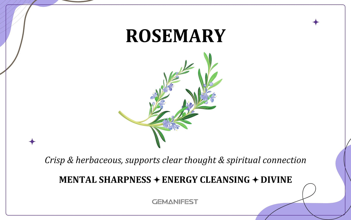 Rosemary scent – A fragrance for mental clarity, protection, and manifestation energy.