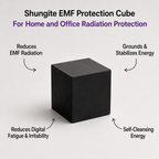 Protect Your Space & Energy – Home Shield Duo