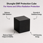 Protect Your Space & Energy – Home Shield Duo
