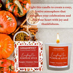 Everything Nice Pumpkin Spice Manifestation Candle with Citrine and Clear Quartz crystals and Pumpkin Spice essential oil for prosperity and gratitude.