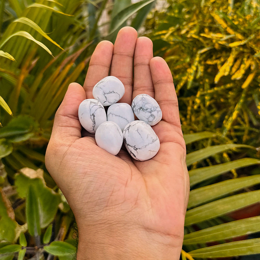  Howlite Crystal 1