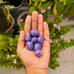  Lepidolite Crystal