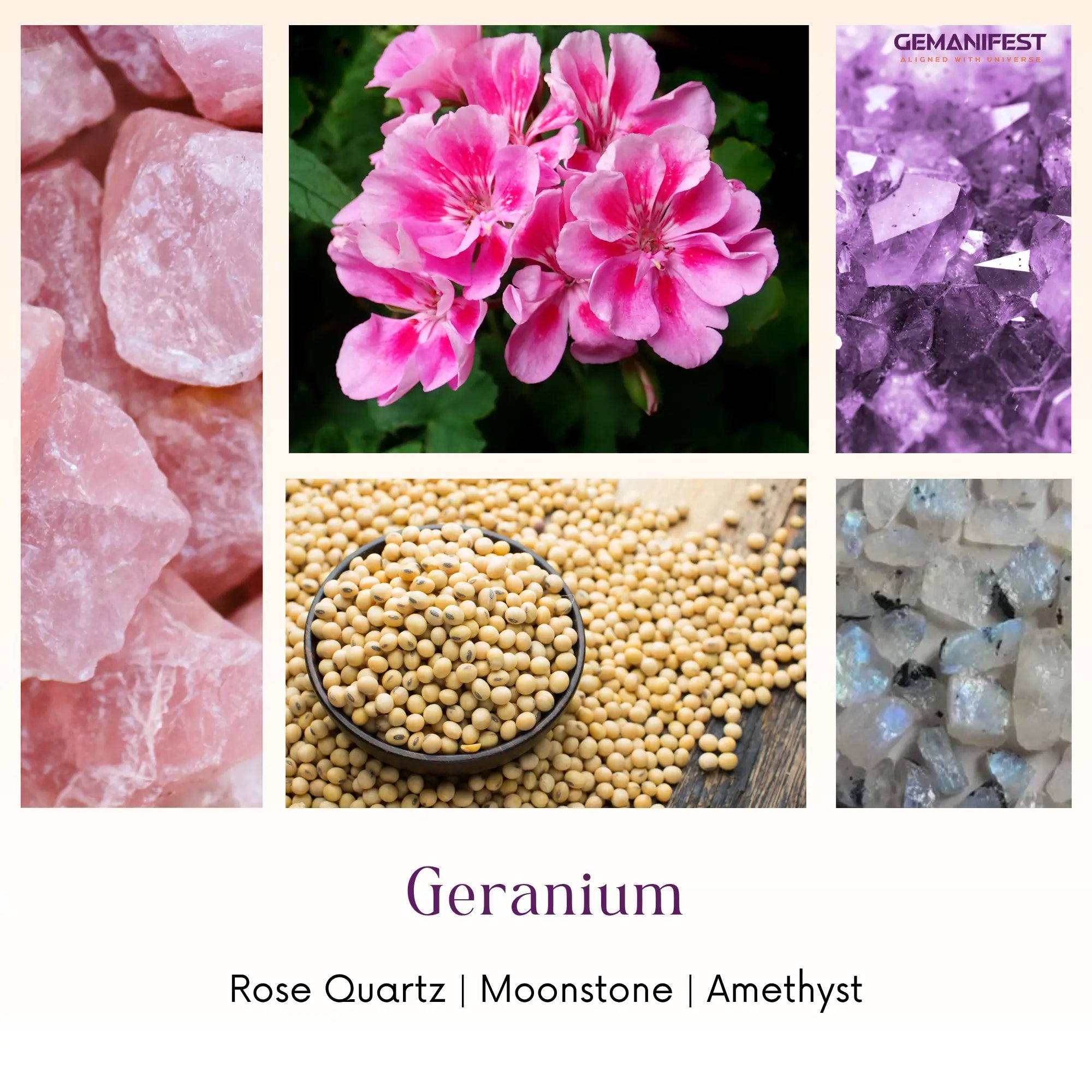 Collage of rose quartz, Geranium flowers, moonstone, amethyst with 'Gemanifest' branding.