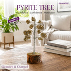 Pyrite crystal tree with 'Authentic Crystals' label on a beige background