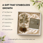 Gift box with a pyrite tree and card, symbolizing growth, on a light background with text about gift occasions.