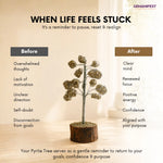 Pyrite tree with text on a beige background, featuring the brand 'GEMANIFEST'.