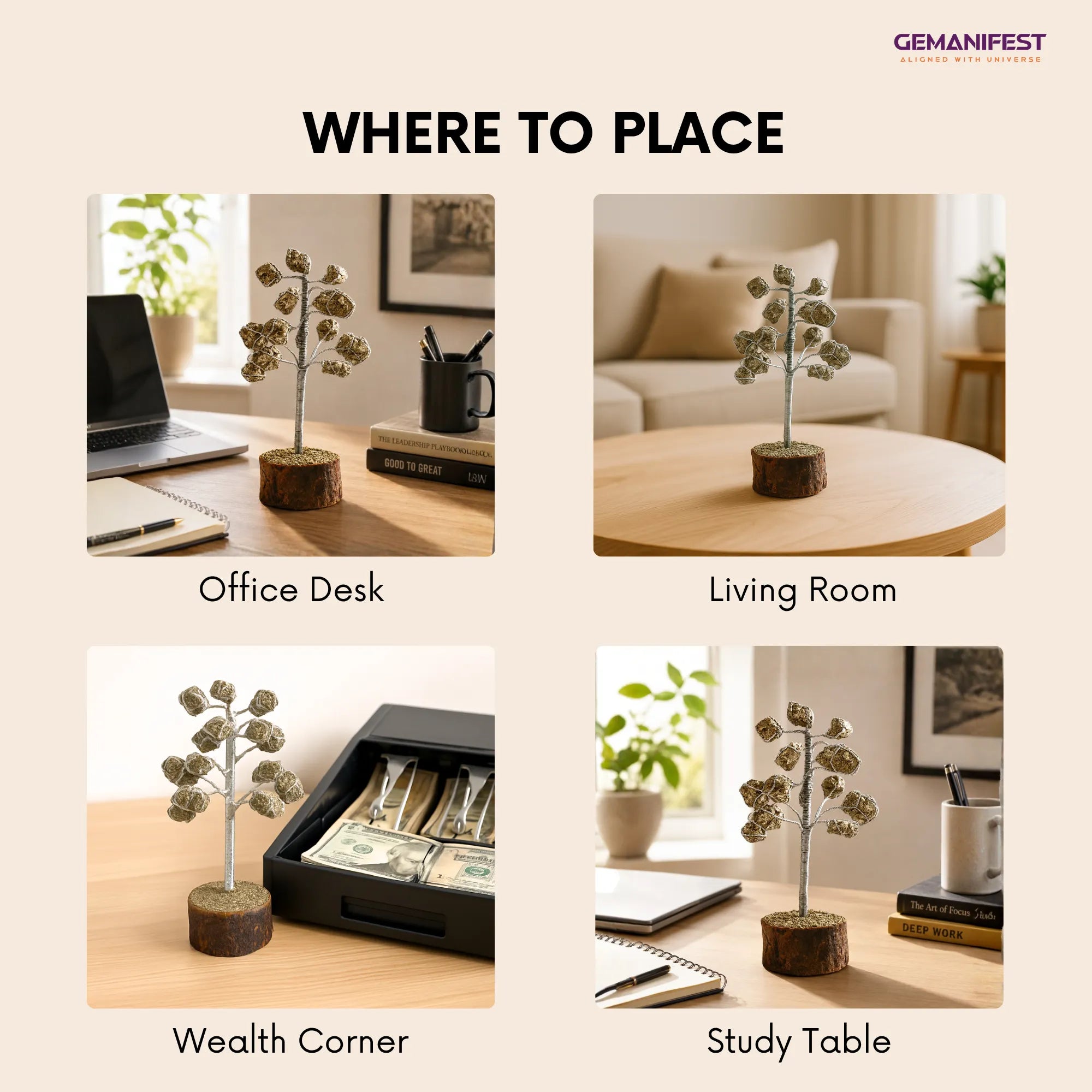 Placement guide for a decorative plant with images of office desk, living room, wealth corner, and study table.