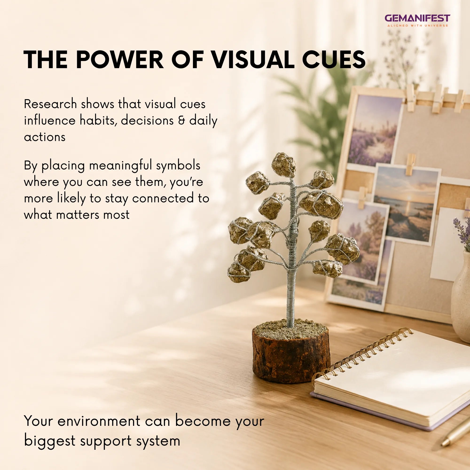 Decorative plant on a desk with photos and a notebook, featuring text about visual cues.