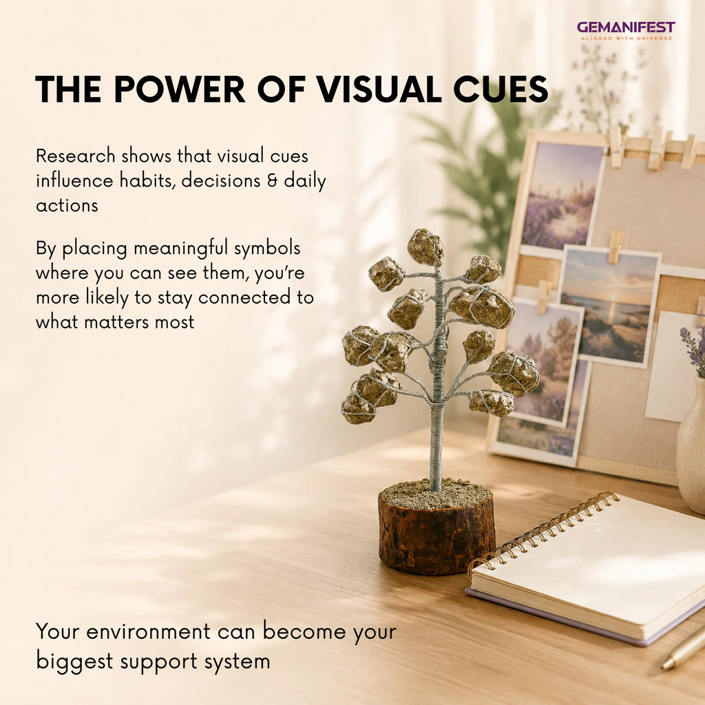 Decorative plant on a desk with photos and a notebook, featuring text about visual cues.