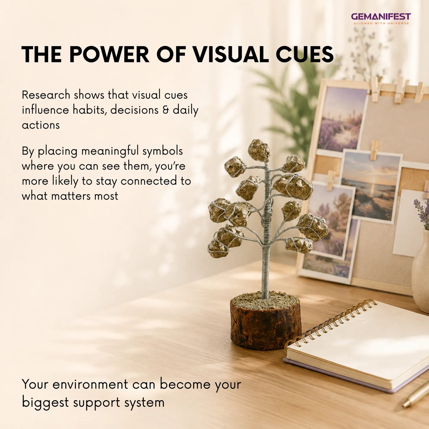 Decorative plant on a desk with photos and a notebook, featuring text about visual cues.