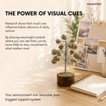 Decorative plant on a desk with photos and a notebook, featuring text about visual cues.