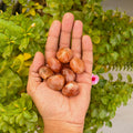 Sunstone Crystal 1