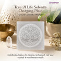 Tree of Life Selenite Charging Plate for Grounding & Manifestation
