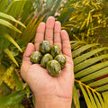 Unakite Crystal 1