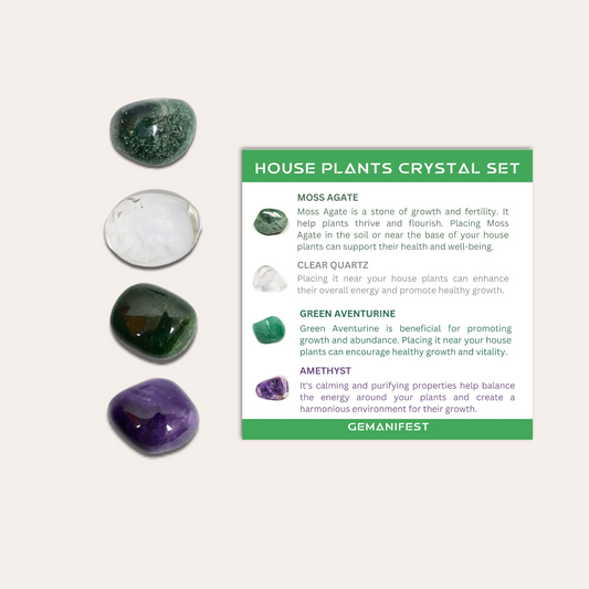 House Plants Crystal Set | Crystals for Healthy Plant Growth